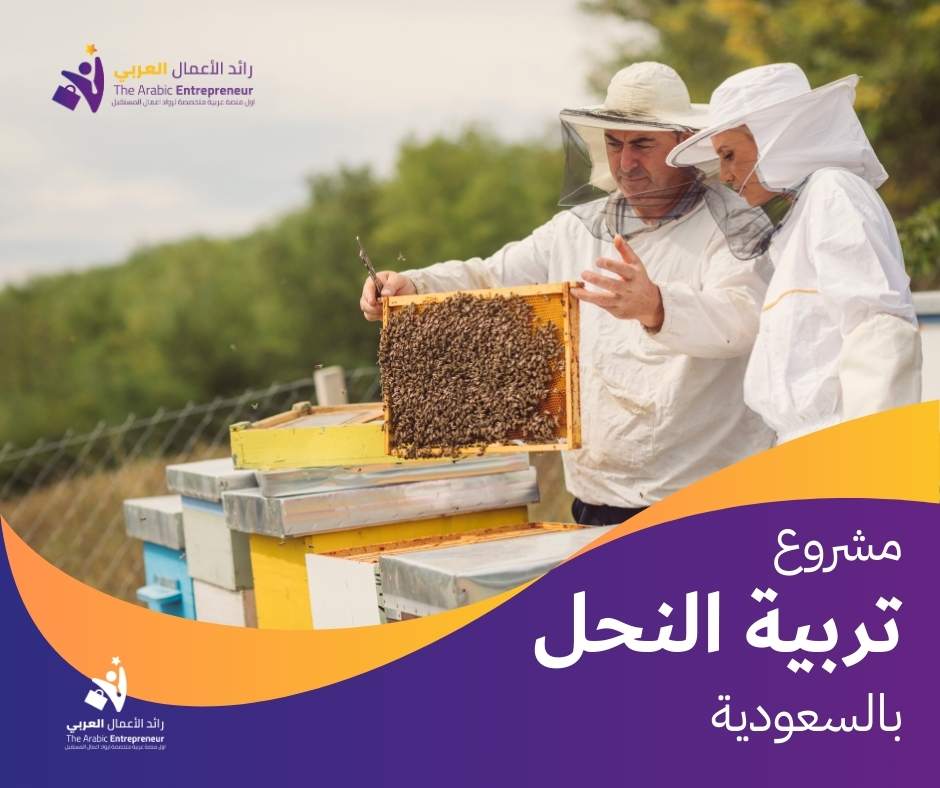 مشروع تربية النحل في السعودية