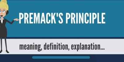 مبدأ بريماك